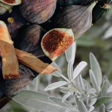 Load image into Gallery viewer, "Be Still" - Fig, Sandalwood, Sage