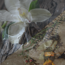Load image into Gallery viewer, "Spooky" - Vanilla, Ginger, Marshmallow, Rain