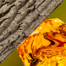 Load image into Gallery viewer, "Patience" - Oak & Amber