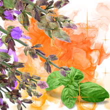 Load image into Gallery viewer, PRE-ORDER &quot;Magnetic&quot; - Orange, Basil, Clary Sage
