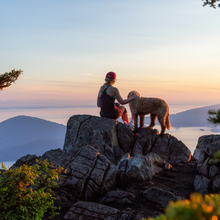 Load image into Gallery viewer, &quot;Wander&quot; - Sweet Earth, Ginger, Rain
