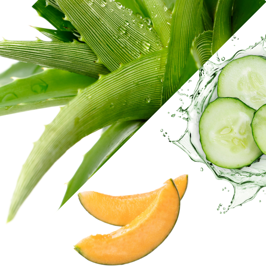 "Me Time" - Aloe, Cucumber, Melon